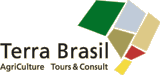 Terra Brasil