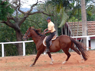 Bay View Reitzentrum Búzios