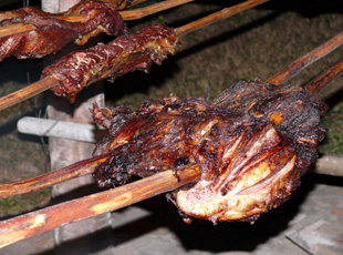 Das war ein Wildschwein