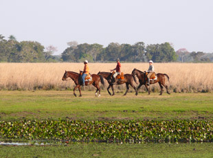 Ausritt entlang der Vazante Castelo