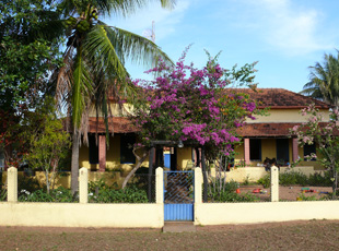 Fazenda Nhecolândia