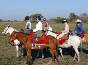 Cheval d'Aventure Gruppe auf einem 40 km Trail