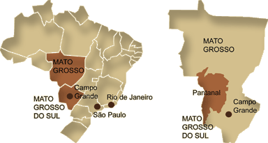 Karte Brasilien und Pantanal