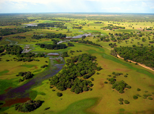Typische Pantanal-Landschaft mit Vazante Castelo