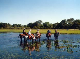 Ausritt im Pantanal