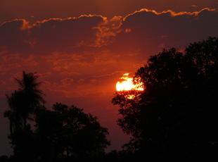 Sonnenuntergang im Pantanal – eine Show für sich