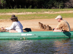 Auf Handbreite herangekommen: Capivara Babies kennen keine Scheu