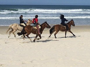 Strandreiten auf Praia do Rosa