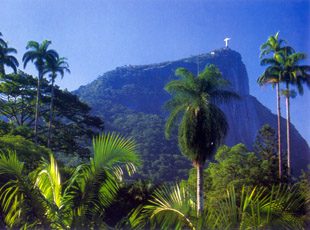 Blick vom Jardim Botânico hinauf zum Corcovado