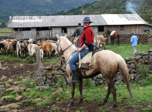 Annica Larsson auf der Fazenda