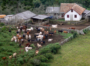 Eine typische Familienfarm in den Bergen des São Joaquim Nationalparks
