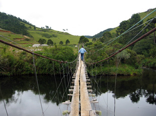 Hängebrücke auf Santa Barbara