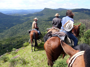 Im Hochland von Santa Catarina
