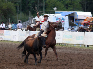 Die Rodeos in Urubuci gehören zu den besten in Santa Catarin