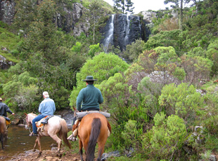 An Wasser fehlt es nicht im São Joaquim Nationalpark